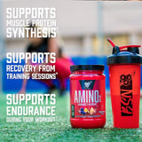 BSN AMINOx Amino Energy Powder for Endurance and Recovery