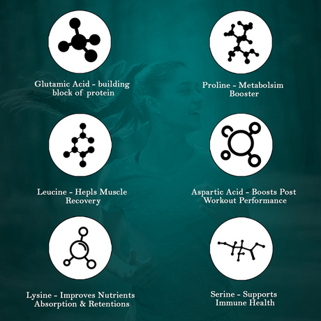 Eligator Pro Amino Liquid – 66 SERVING