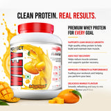 Eligator Perfect Whey Protein Powder 2kg