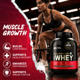 Optimum Nutrition (ON) Gold Standard 100% Protein Powder (2.27 kg, Double Rich Chocolate)