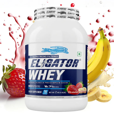 Eligator Whey Protein - 2kg with Free Creatine Monohydrate 100gm & Eligator L-Arginine 60 Tablets