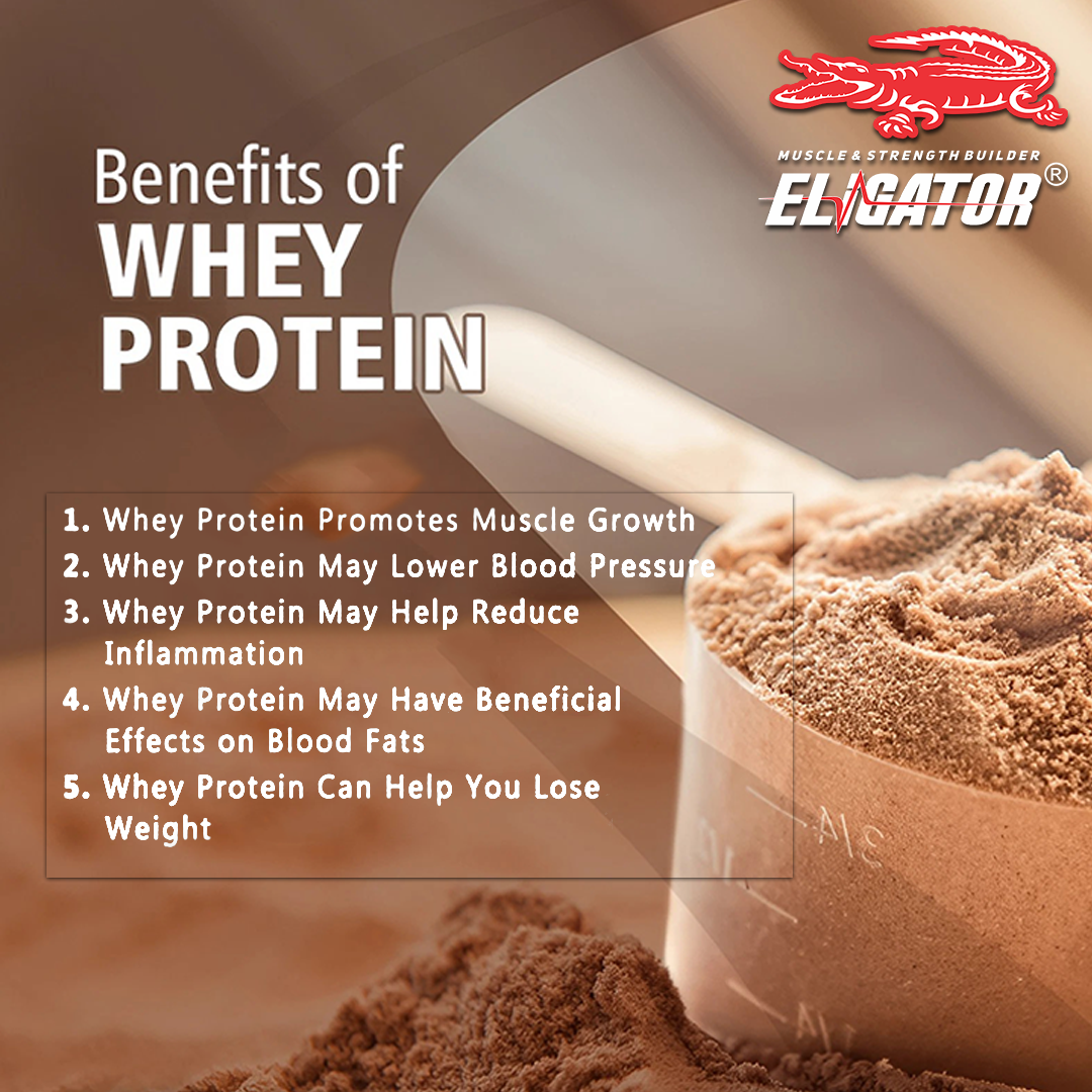 Eligator Perfect Whey Protein Powder- 2KG (4.4LBS)