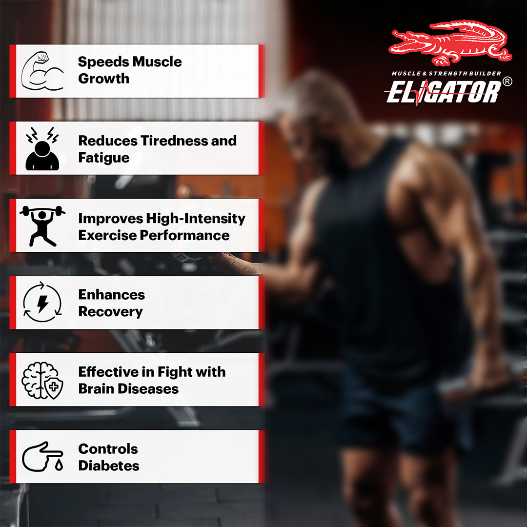 Eligator Creatine Monohydrate Unflavoured | 83 Servings