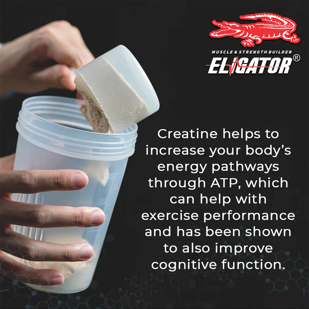 Eligator Pro Micronized Creatine Powder (100 Servings)