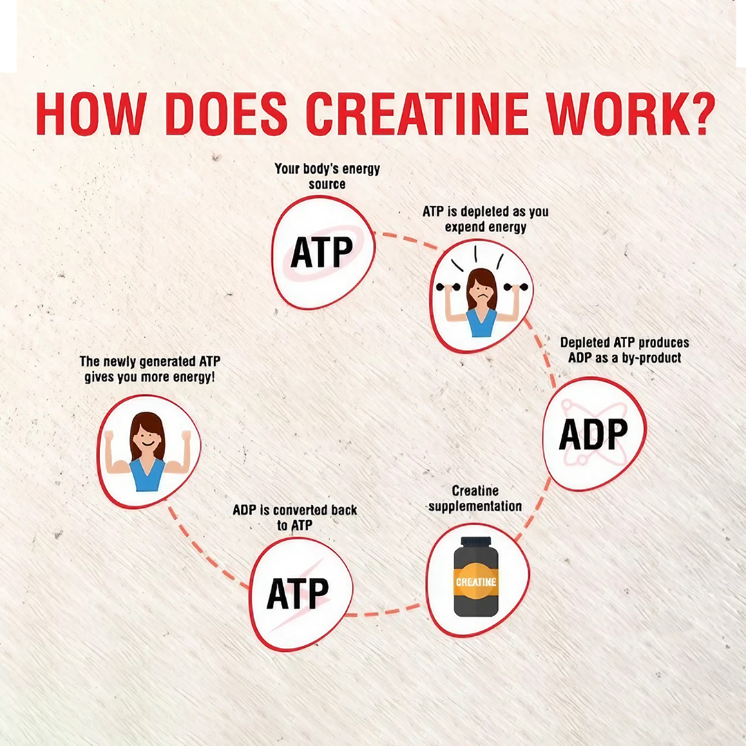 Eligator Creatine Monohydrate 250gm 50 Servings