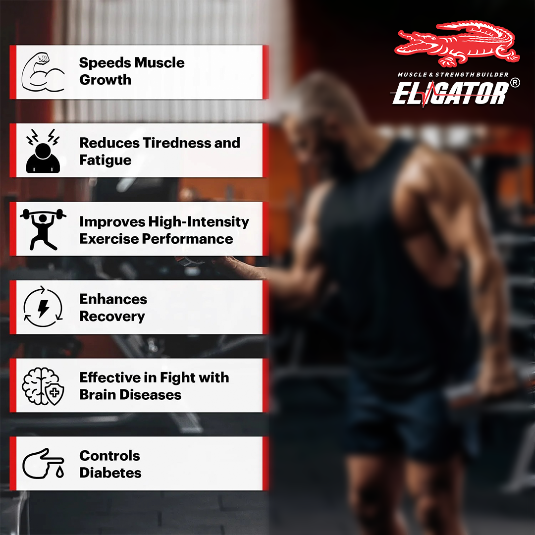 Eligator Creatine Monohydrate 250gm 50 Servings