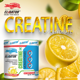 Eligator Creatine Monohydrate 250gm 50 Servings